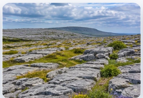 The Burren